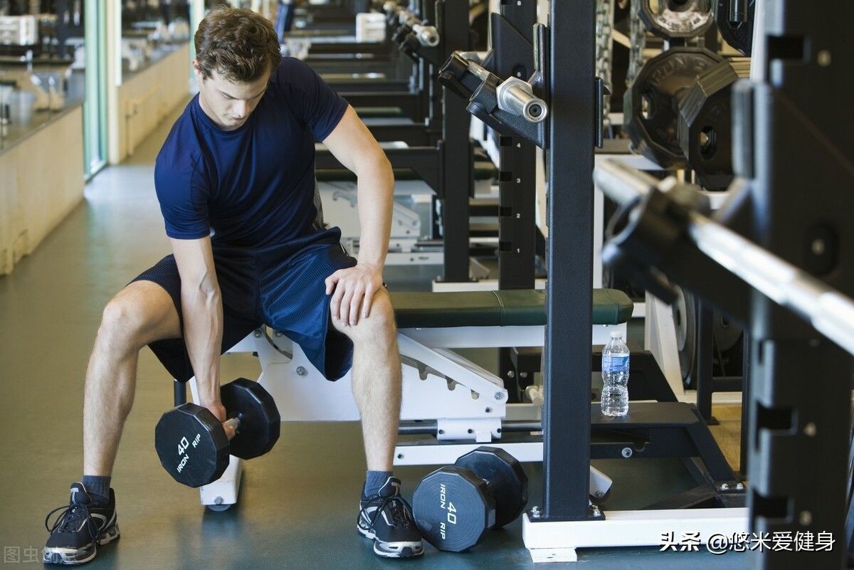 背部|哑铃初学者的锻炼方法,学会5个动作,有效提升肌肉力量