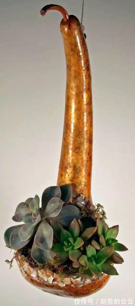 茶叶罐$牛x玩法! 这种葫芦的一定不能错过, 老玩家都在玩!