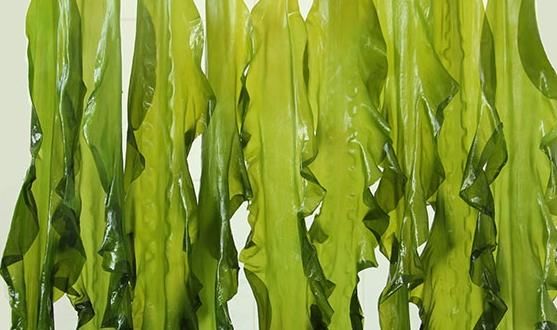 提個(gè)醒：吃海帶后一小時(shí)內(nèi)，切忌再碰此物，吃了就是自找難受