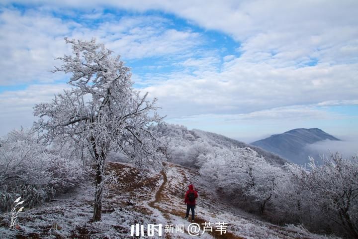 摄友|你在北方的冬天里看雪景，我在南方的冬天里看秋景