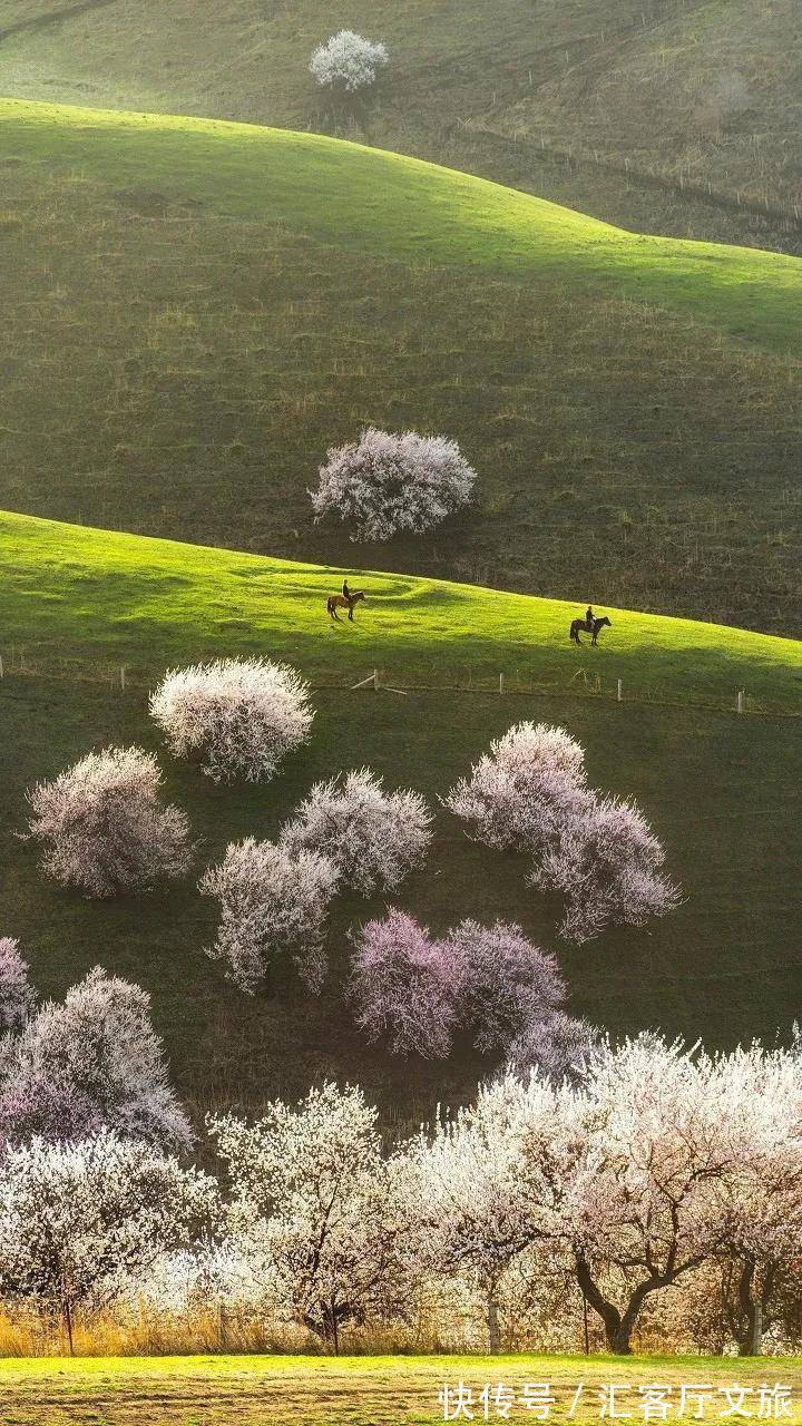 小火车|再过30天,世界又要被惊艳了!因为,中国的春天到了