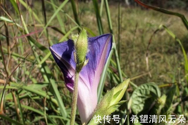 旧爱|红尘滚滚,痴迷旧爱,爱情难逃,心怀希望