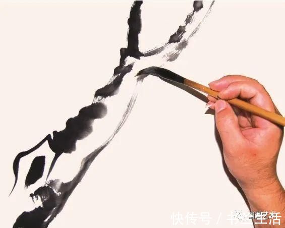 垂枝!图文教程:轻松学画写意木本花卉枝干