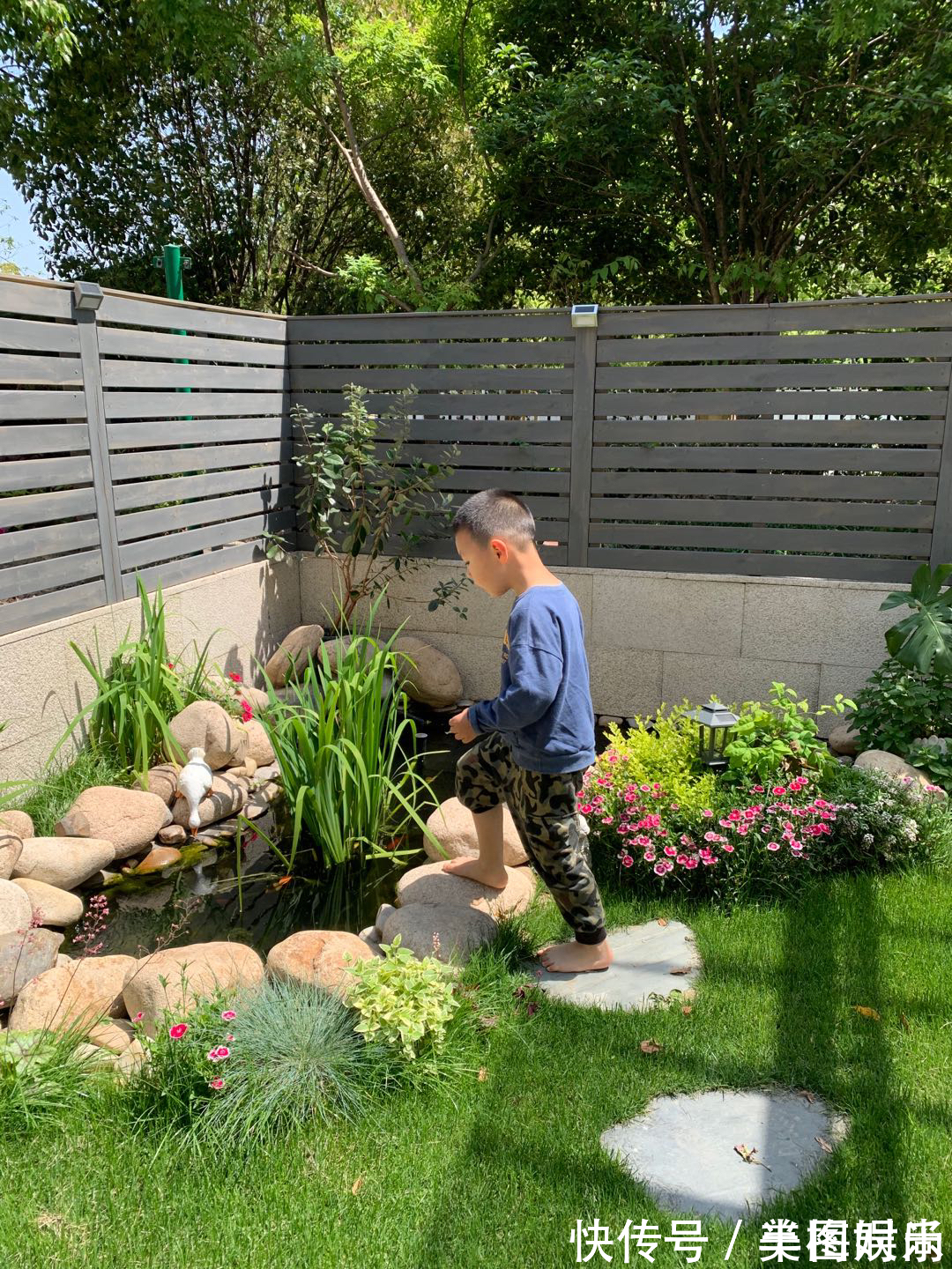 花一万元,在院子里建了个“原生态鱼池”,太漂亮了!