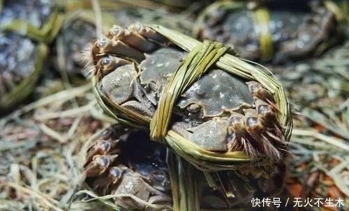  食材|为什么说阳澄湖的蟹，是中国的顶级食材