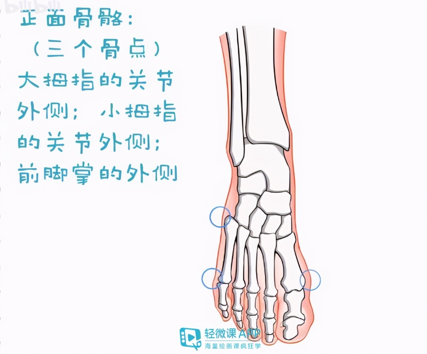 漫画脚部怎么画 脚的绘画教程参考 全网搜