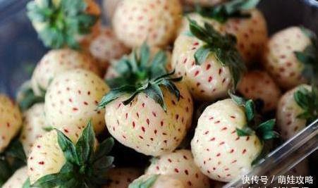 对身体很好的几种食物，每天吃些，延缓衰老，排毒养颜，好处多多