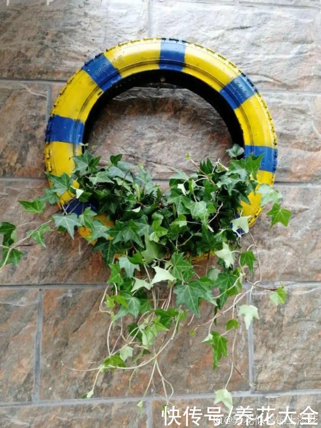 老干|旧筷子、老干妈瓶别扔,拿来养花效果好,省下一笔养花钱