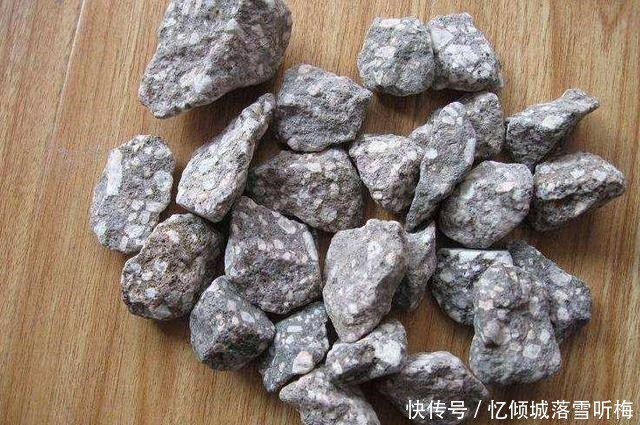 春天,满地都是养花的宝贝,快来捡呀,养花一级棒,还不花钱