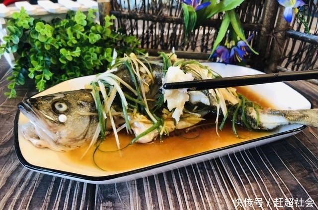 此鱼10块一条,却是珍贵补品,隔三差五吃一条,健脾养胃可补脑
