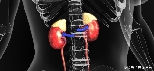 医生|医生直言：肾病远离尿毒症，没有捷径，坚持做好3件事是关键