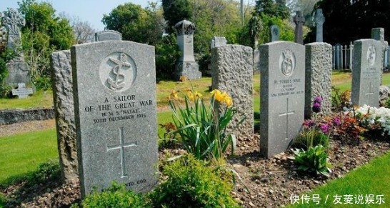 农村院子里不适合种的5种树,你家种了吗