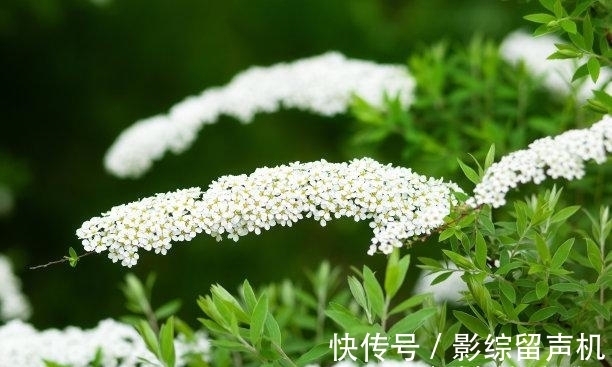 主张力|还有三周，爱恨交错，抵死缠绵，告别虐恋，踏上巅峰，旧爱不休