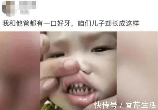 乳牙|捕到巨型石斑鱼，一条就顶人家一箩筐，渔民开心的一天