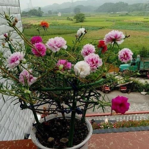 法令纹|女人开始衰老时，面部多半会有3个变化，若没中，恭喜还很年轻