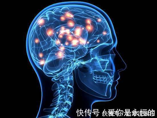 年轻人|最准痴呆测试：能找出3种动物的大脑很健康，年轻人必须30秒找到