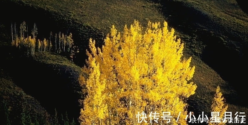 杨万里$清风明月正宜人,足以慰风尘,七首唯美宋诗,忘却烦恼只留星辰