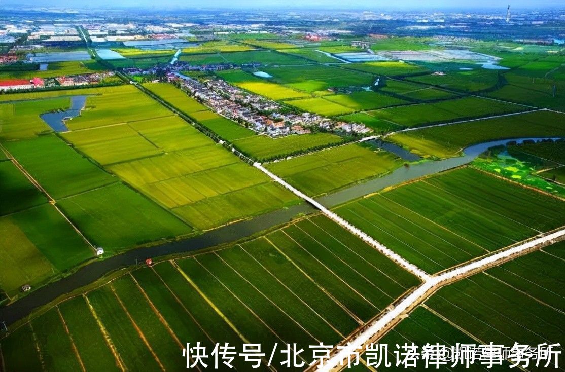 被征收人|拆迁时，为什么一定要申请政府信息公开？其目的是什么？