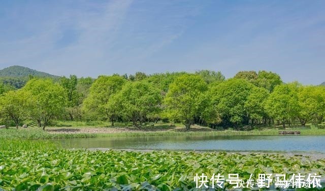 钓鱼|大鲫鱼藏在哪这5个地方都是鱼窝,看你错过了多少鱼