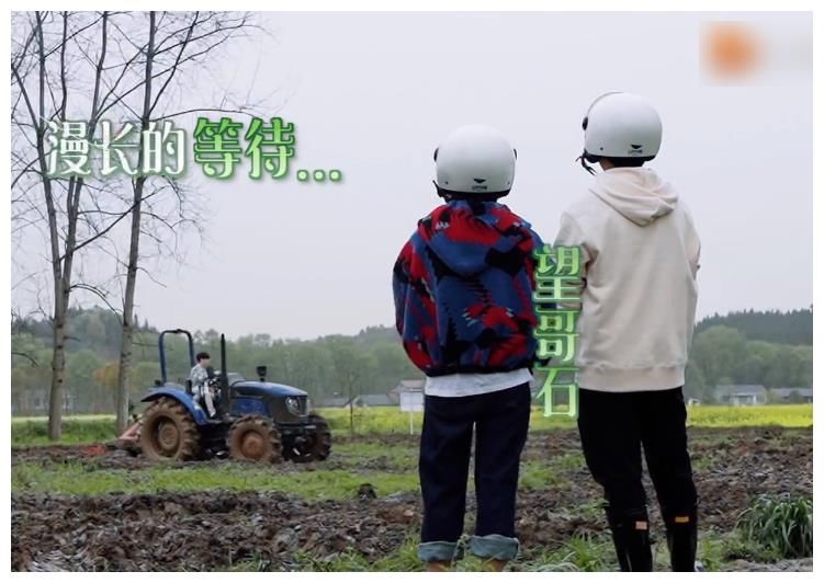 张艺兴来《向往5》充当工具人,忙得镜头都没有,黄磊彻底解放了