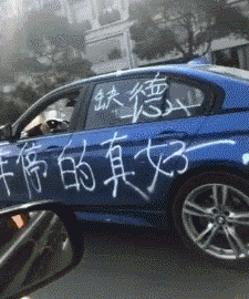 |搞笑GIF:一开门就碰到财神爷,今天要发财了吗