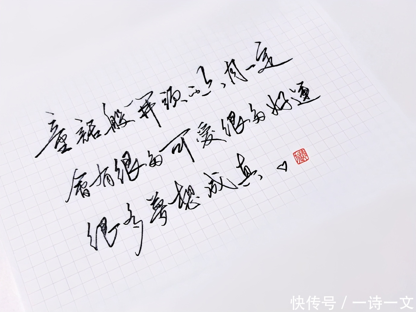 羊群|既然人类微渺得如同一只蜉蝣,那么人生须臾,不如绽放