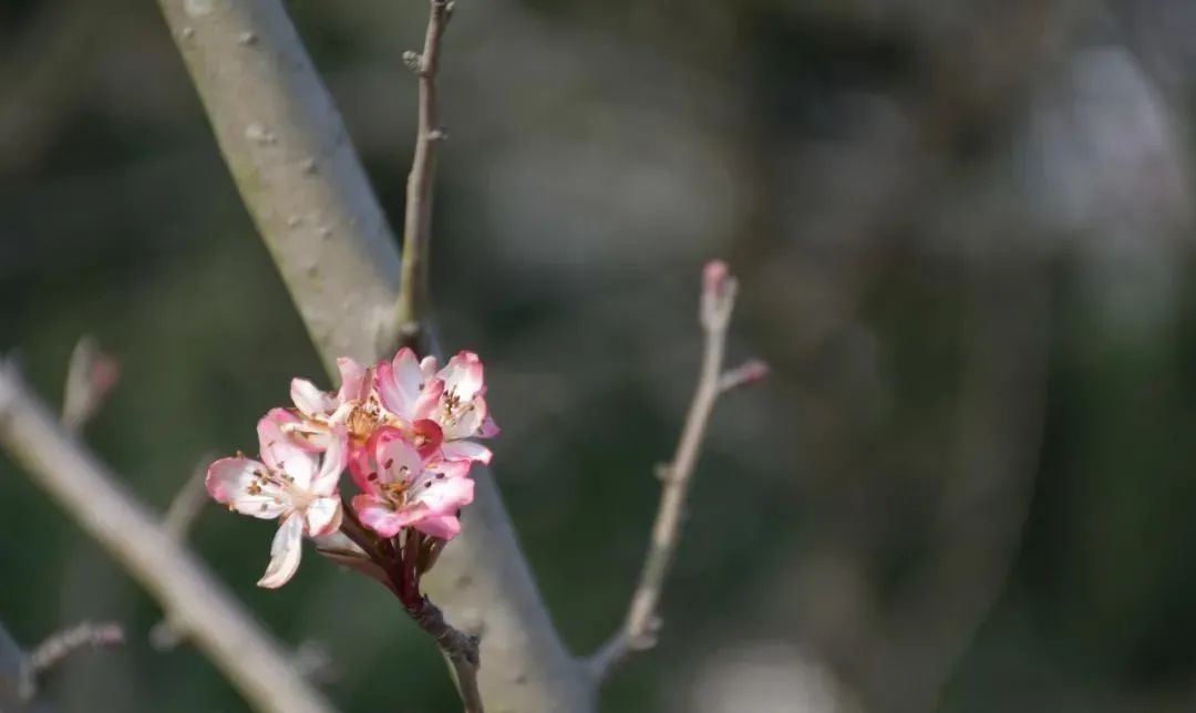老年|小郪江畔，德阳再多一处公园，赶紧来看看吧~