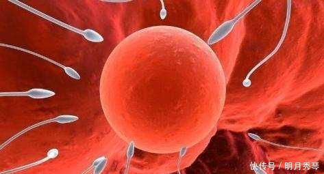男人|过了最佳生育年龄后，男人精子质量开始下降，4个坏习惯太伤精