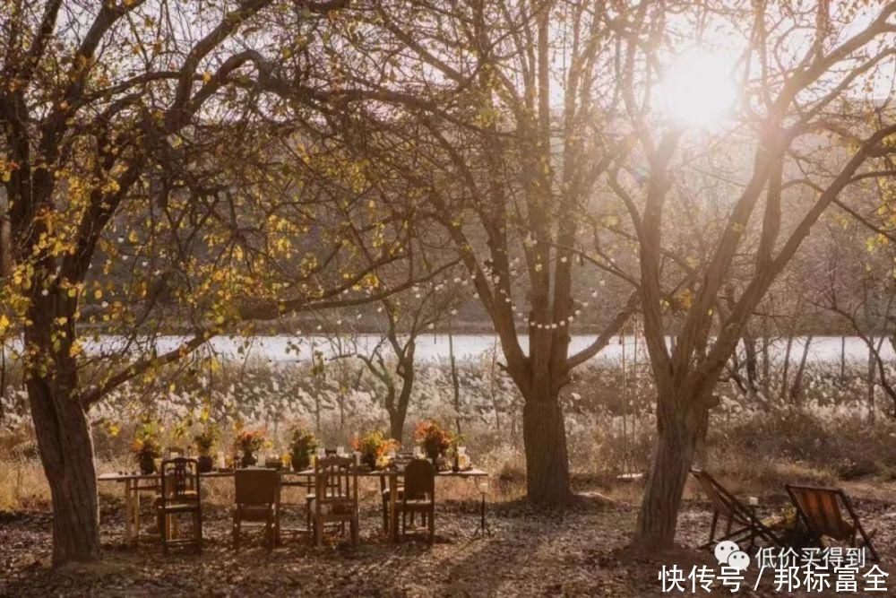 可以将沙漠里看星星列入你的旅行清单了!