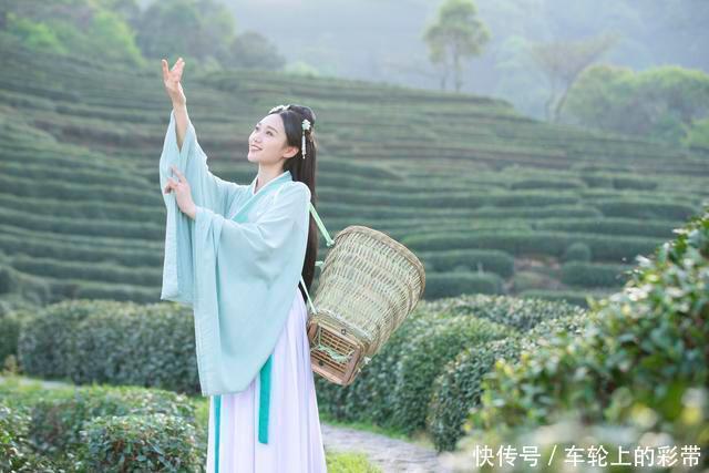 诗词丨芳菲随春去,葱茏入夏来