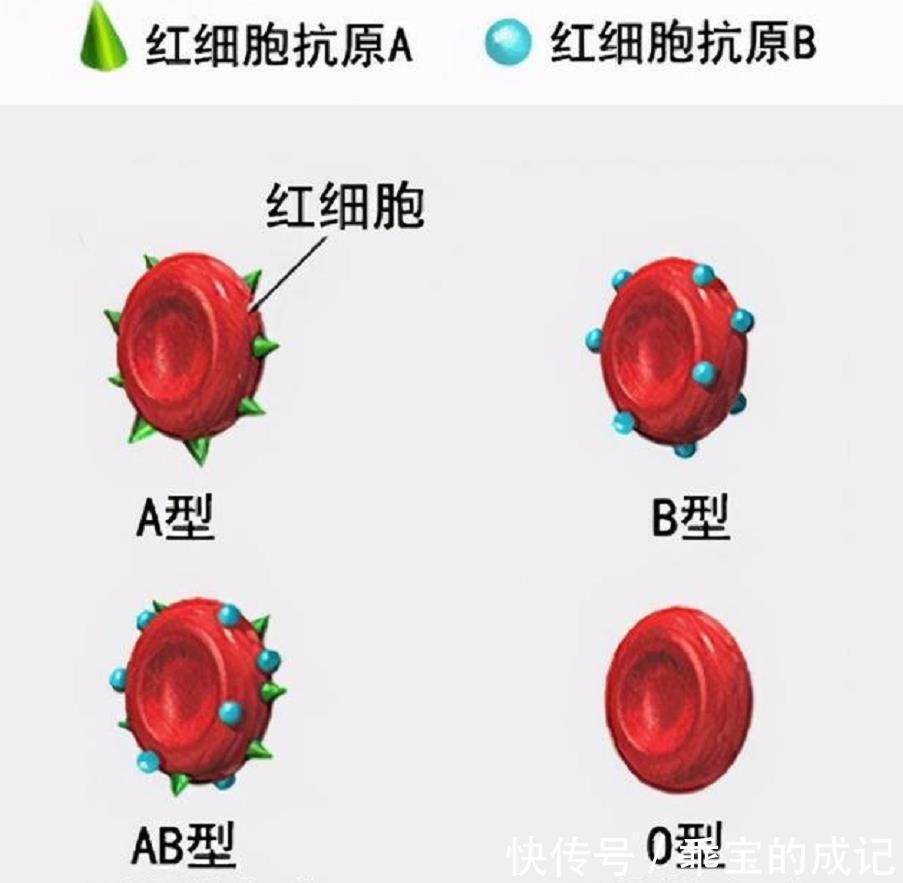 确实|妈妈的血型将孩子智力分为三六九等？斯坦福大学：确实有先天优势