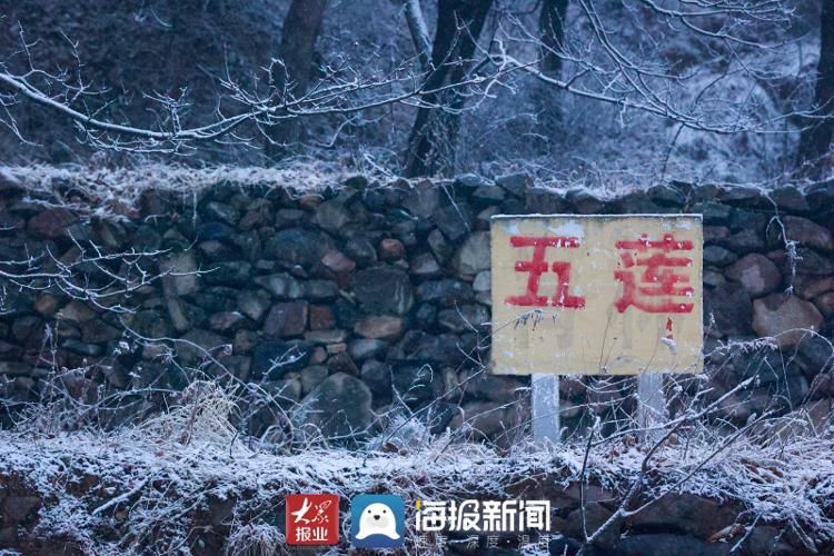 仙境|山东日照：玉树琼枝，银装素裹 雪中大青山开启仙境模式