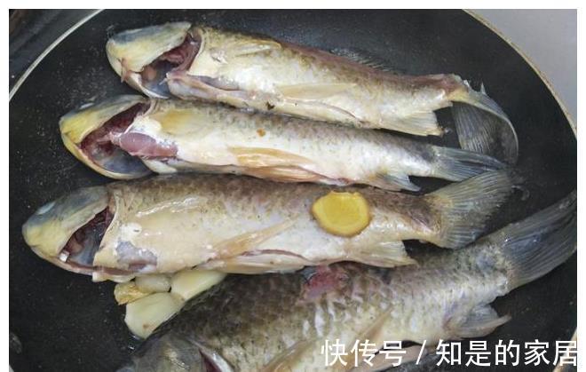 下酒|鲫鱼最好吃的做法，鱼肉鲜嫩又入味，下酒又下饭
