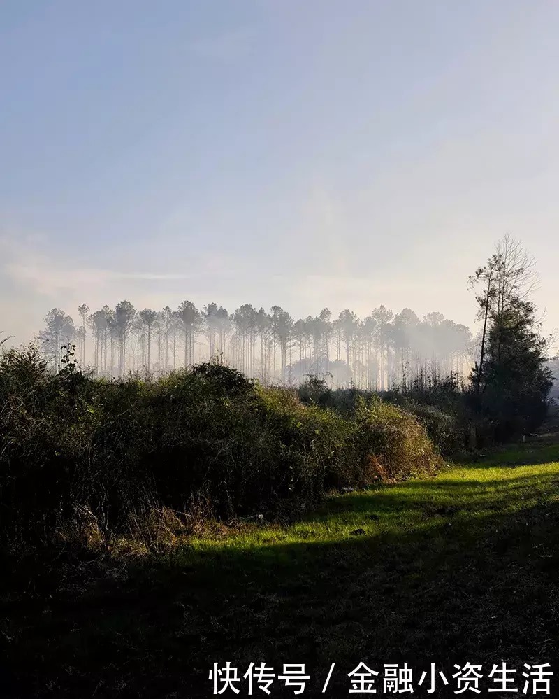  天生就闪耀着勇敢的微笑|骆一禾 | 闪耀着