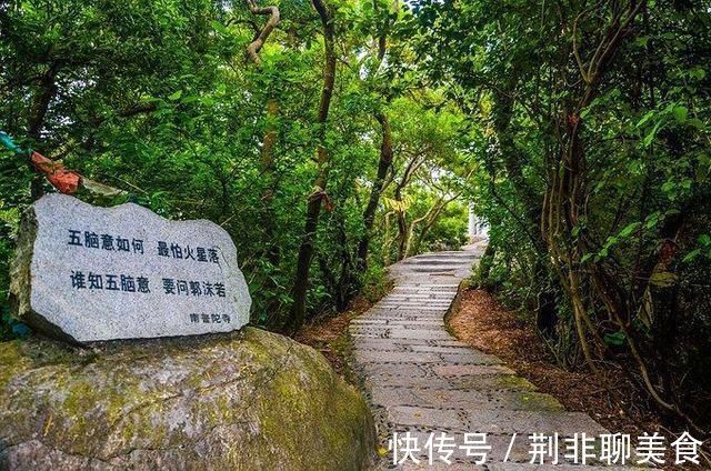 景色|全国唯一的金丝楠木寺院，依山傍海壮美景色，海内外游客慕名到此