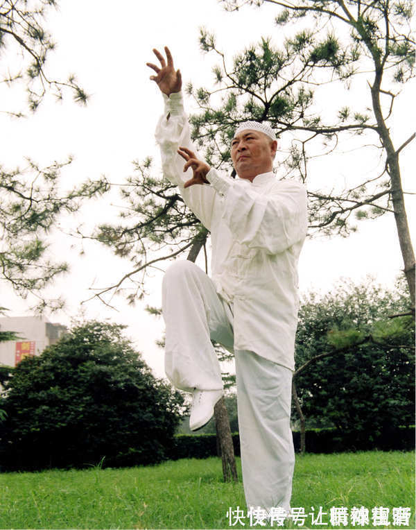 买西山@国家级非遗“心意六合拳”传承人——著名武术家买西山