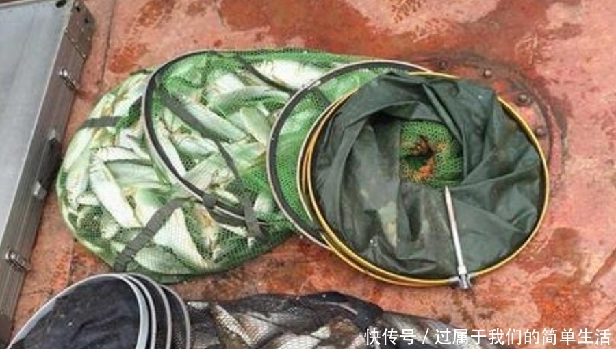 天气冷,开出的饵料总不好?牢记这“三步”,一根竿都钓不过来