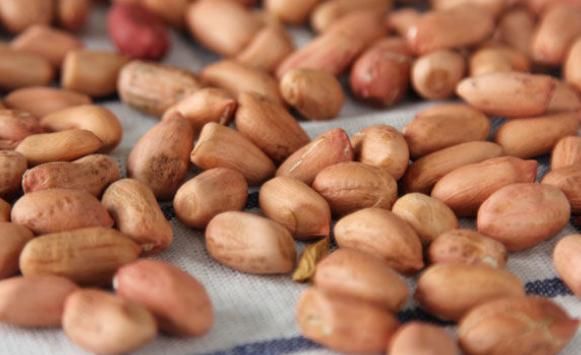 老年人血管硬化危害大，多吃以下幾種食物，可幫你軟化血管！