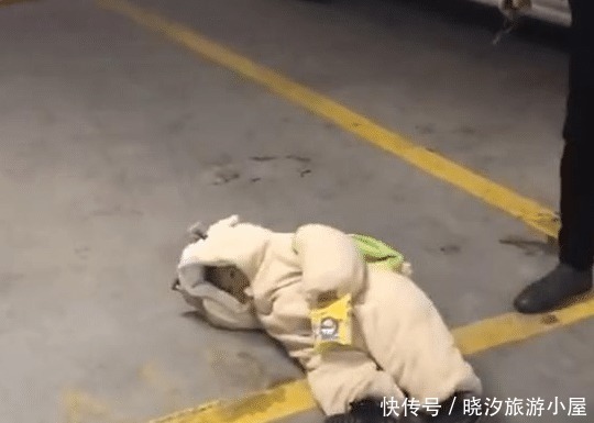 灵机|宝爸走路太快,宝宝追不上,灵机一动直接倒地引注意