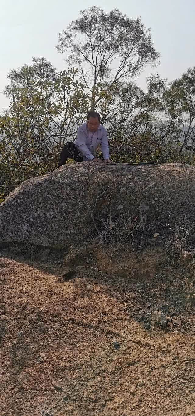 春日再游香山（作者：漳浦 宽心）