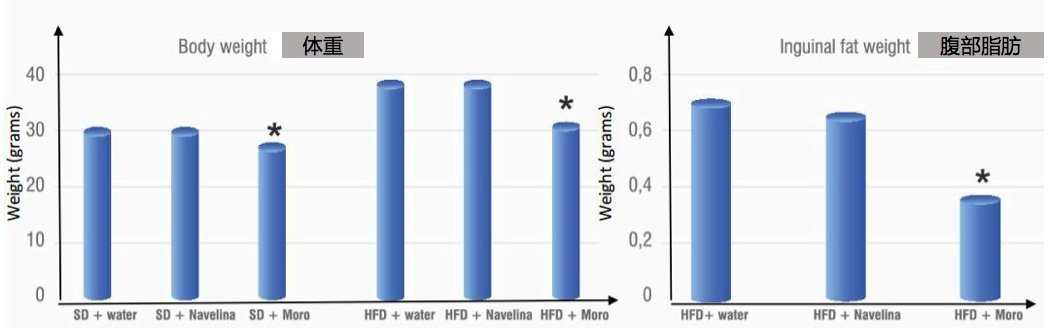 血橙|减肥≠减重?Yes,你更需要的是减脂——意大利西西里血橙提取物