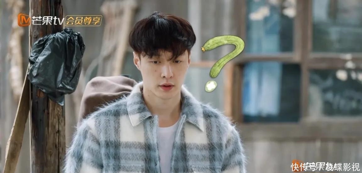 黄磊 《向往的生活》:黄磊的严词厉色,连何炅都无法回暖