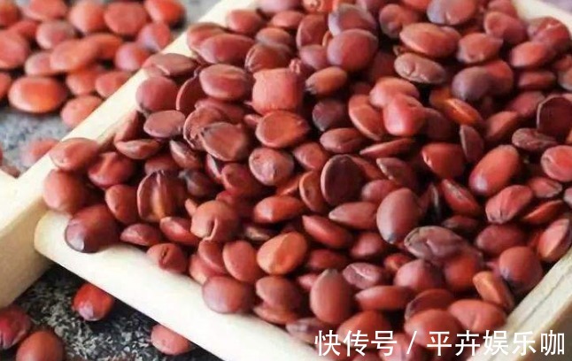 心脾两虚|晚上失眠多梦怎么办?别着急,日常常见的酸枣仁,助你一觉到天亮