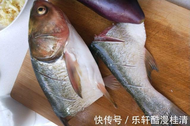 鲢鱼|家常酱炖鲢鱼,酱香四溢鲜美下饭,快来和小编一起学着做一回吧