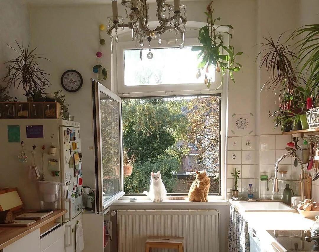 爆炸|看了那么多的“中国厨房”，发现了多数人的通病，真的好危险！