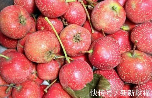 海参|女人“大姨妈”刚走，多吃3种食物，消炎排毒，卵巢给你“点赞”