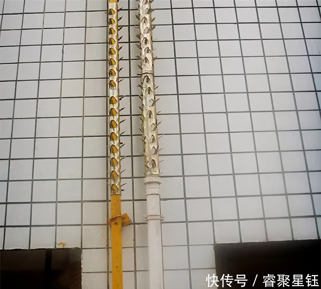 防盗网|阳台不要装防盗网了，头次见有钱人用这种代替，实在太聪明了