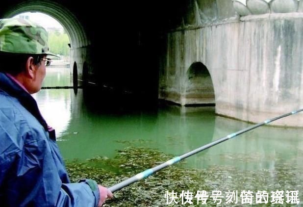 夏季大鱼难给口,错了因为调钓的灵钝,在一开始就有了误差