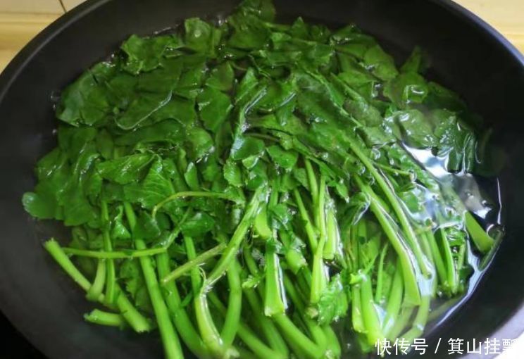 天冷了，遇见此菜买10斤，每天炒一盘，止咳润肺，给肠道洗洗澡