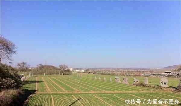 随意|中国最没牌面的皇陵,就连考古学家都懒得去,就随意撂在玉米地里!